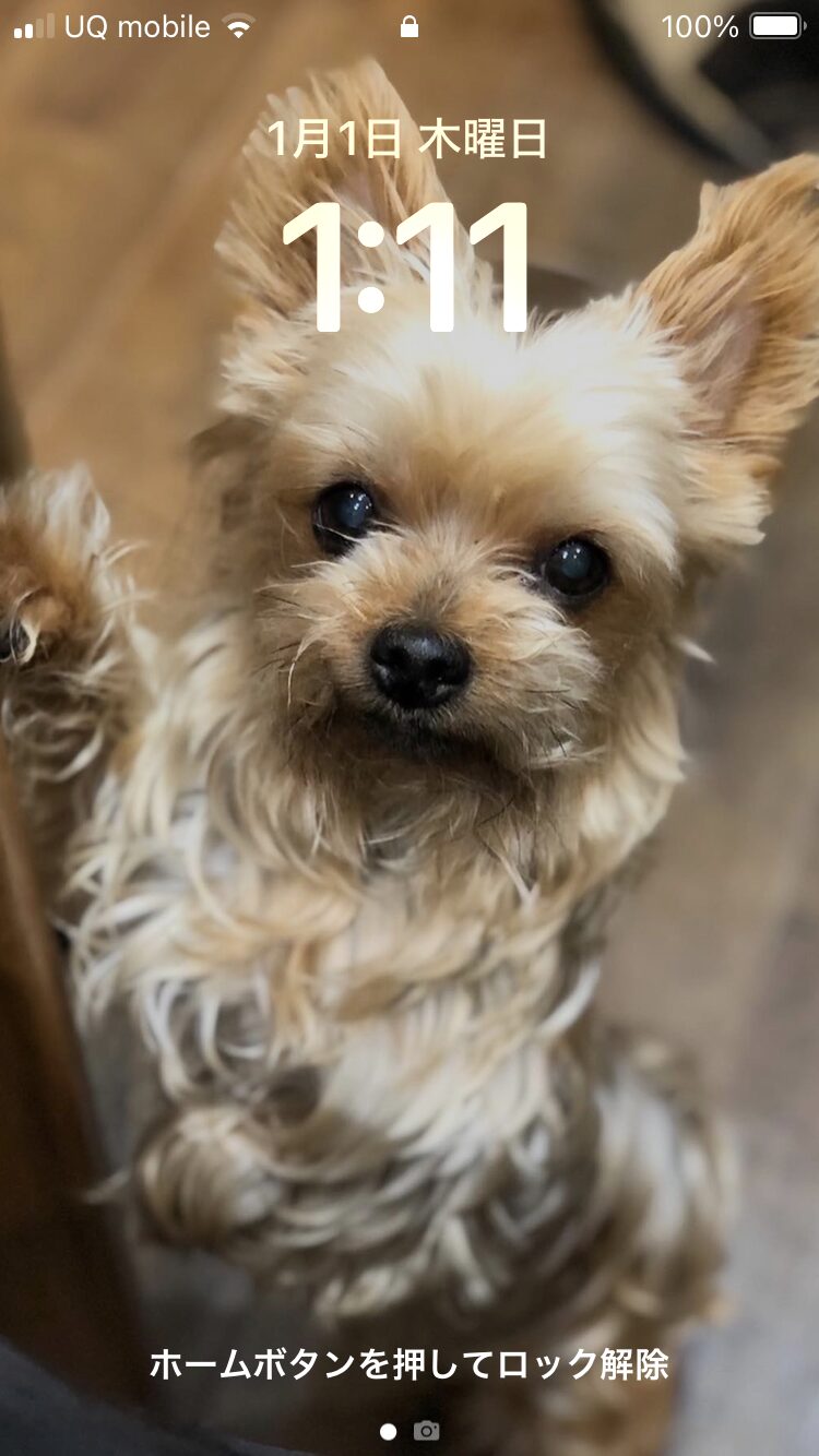 2026年「ひとつひとつ」